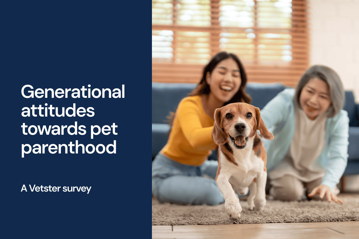 Generational attitudes towards pet parenthood: A Vetster survey - Vetster