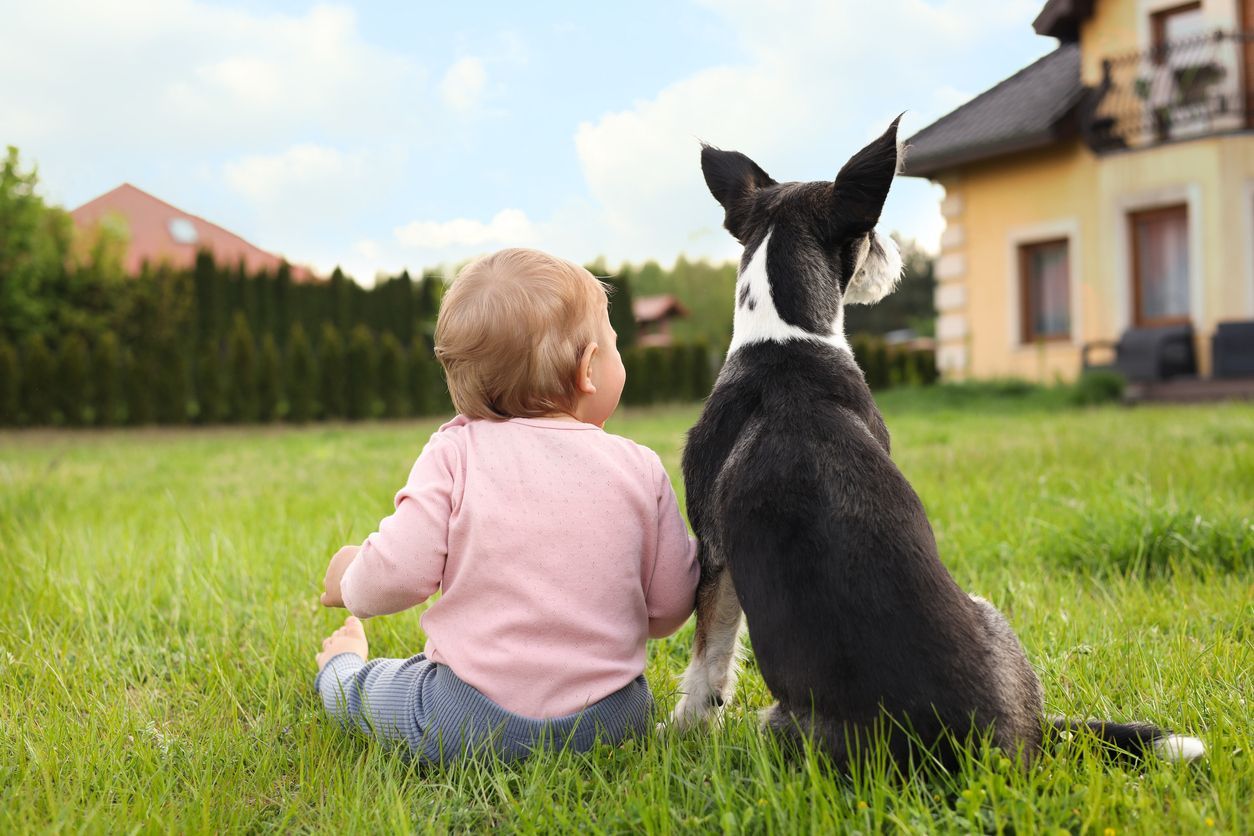 Protecting your baby from fleabites - A human baby and a puppy sitting on grass outside