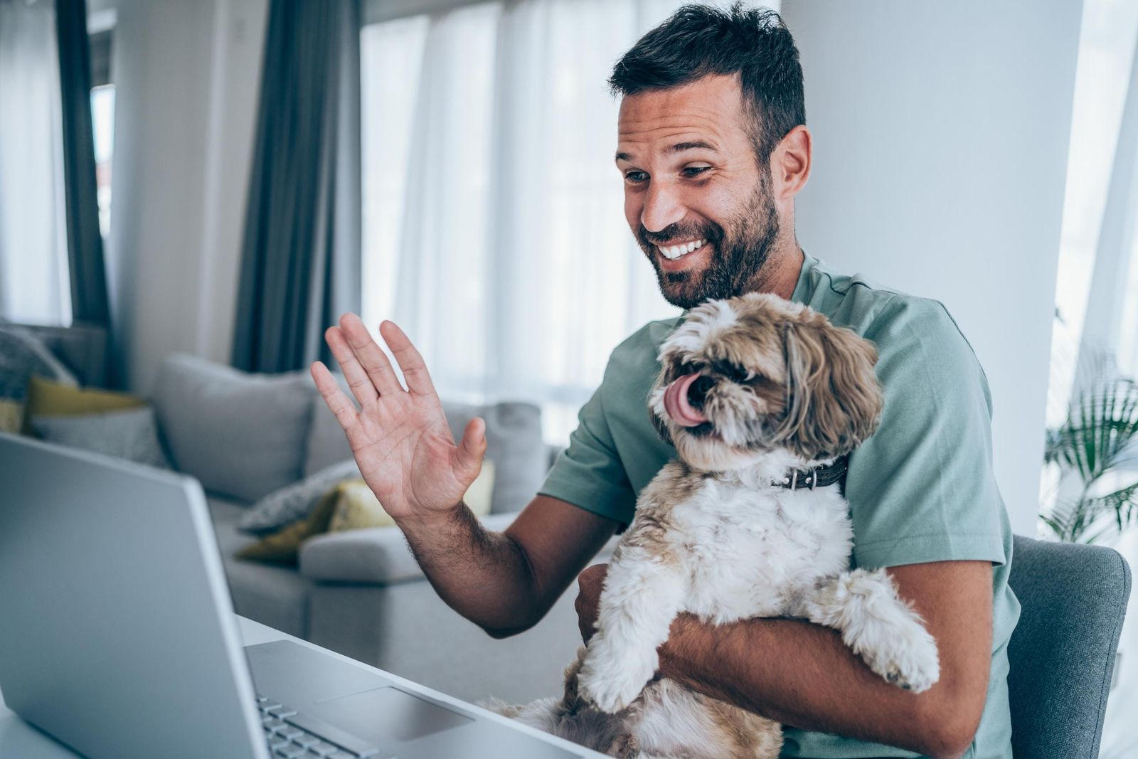 Pet Telemedicine Company Vetster And PetMeds Pair Up To Unleash Growth - Vetster