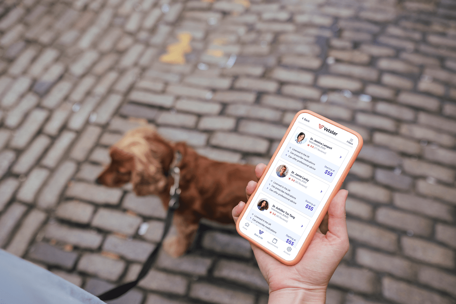 Virtual care: telehealth, telemedicine, teletriage and general advice - Pet owner looks down at their phone while walking their Cocker Spaniel outdoors.