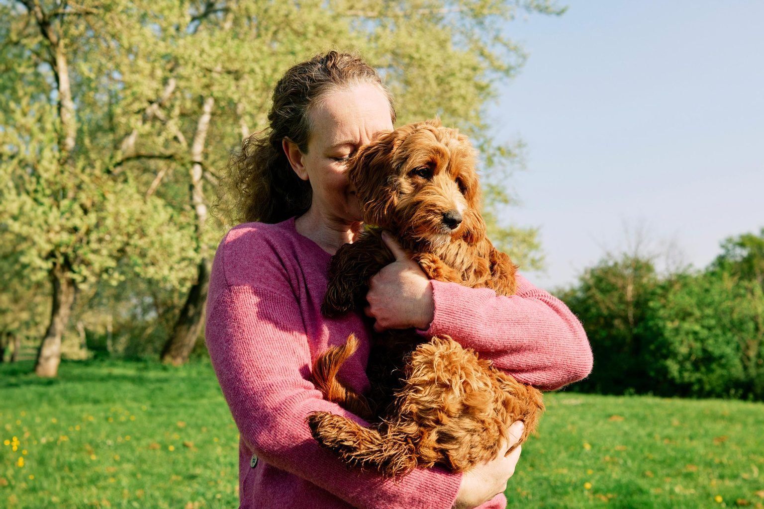 This Is the Right Way to Pick Up a Dog, According to Pet Experts - Vetster
