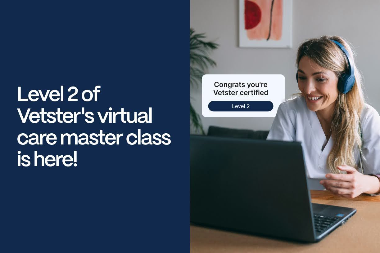 Level 2 of Vetster’s virtual care master class is here! - Level 2 Vetster Master Class header image