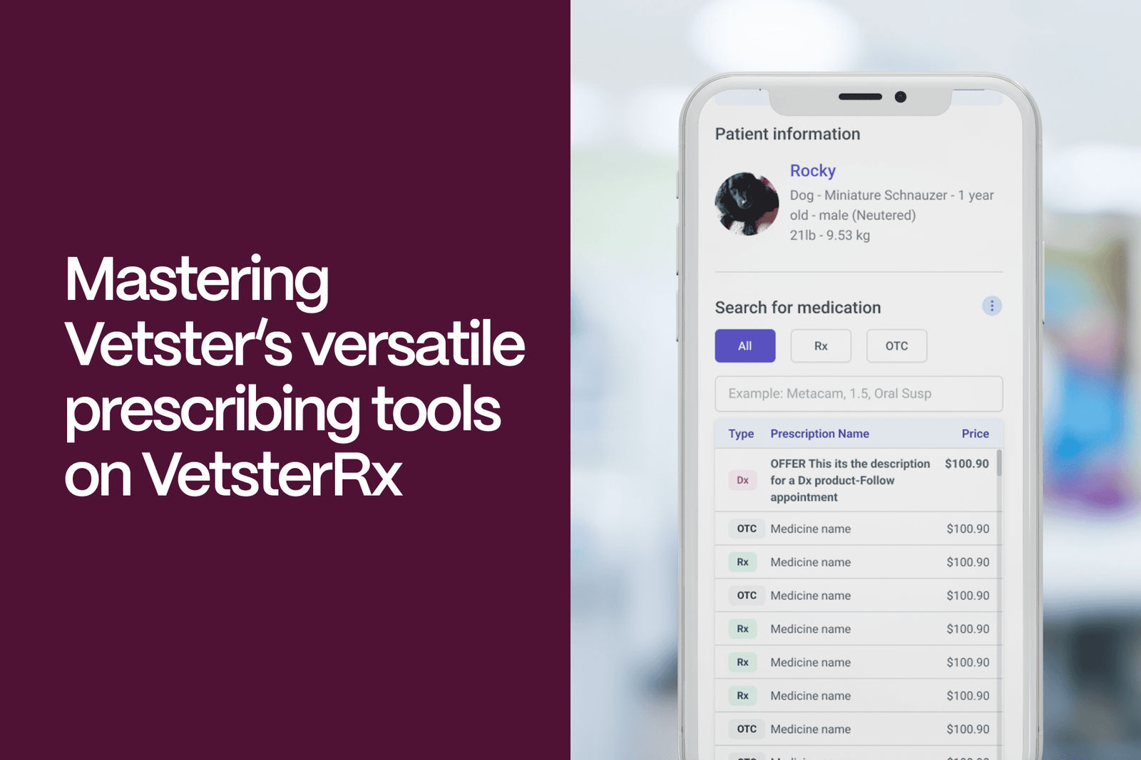 Mastering Vetster’s Versatile Prescribing Tools on VetsterRx - Vetster
