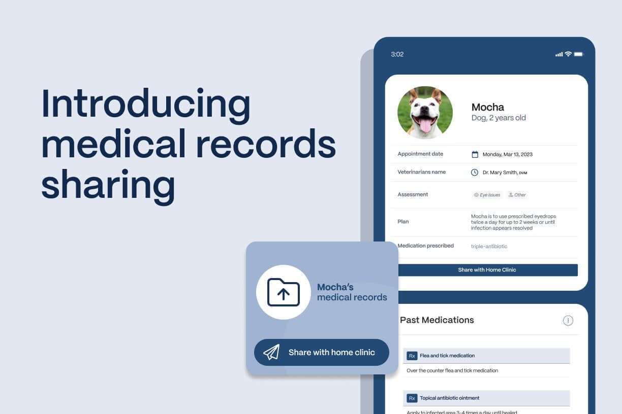 Introducing seamless medical records sharing - Vetster