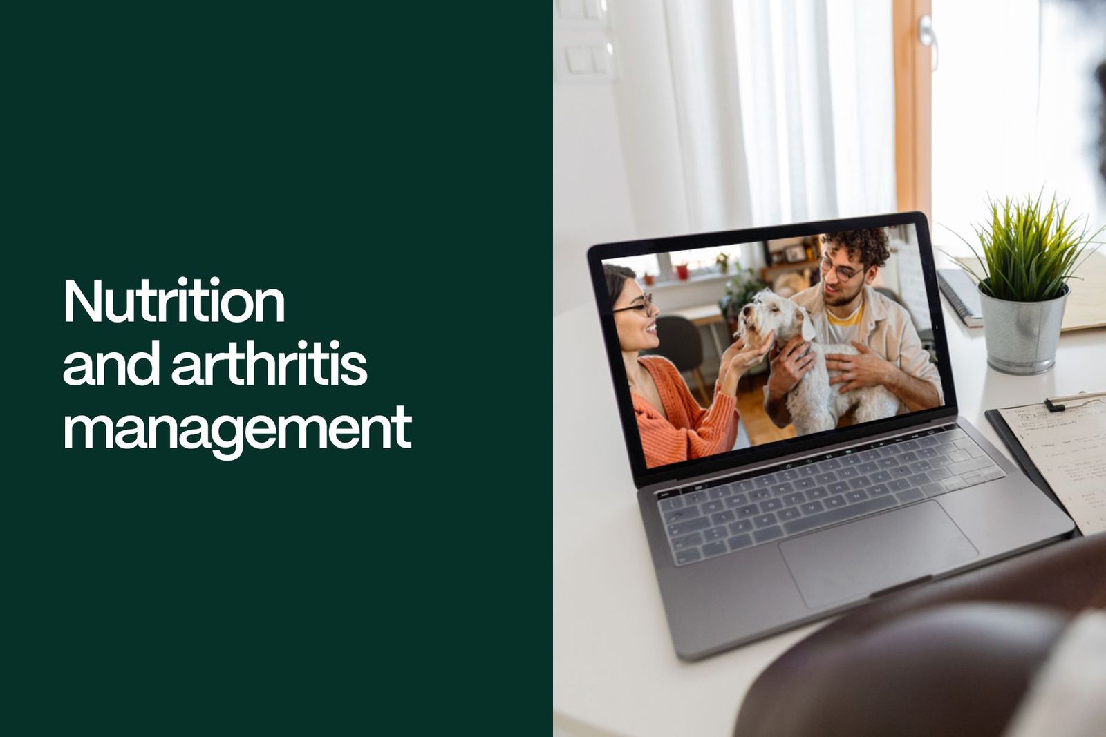 Nutrition in Arthritis Management - Vetster