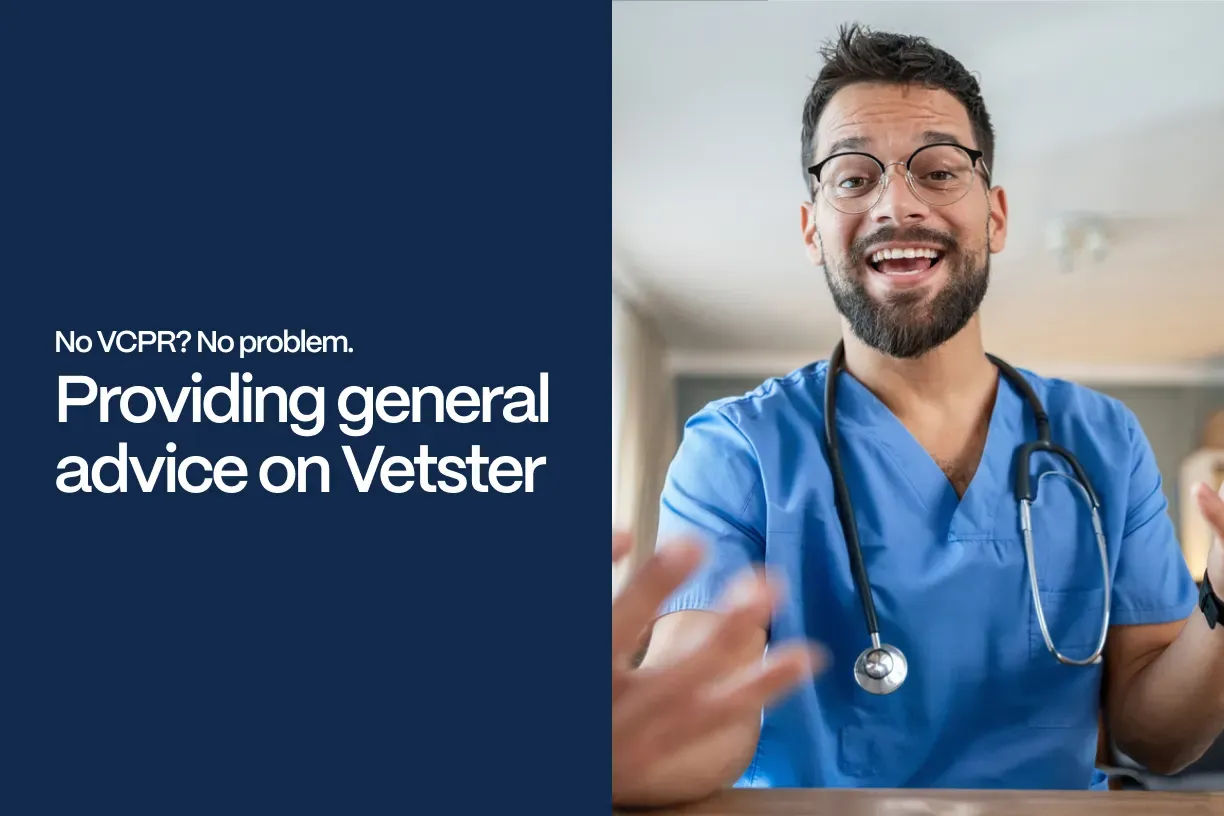 No VCPR? No problem. Providing general advice on Vetster - A vet offers general advice on vetster