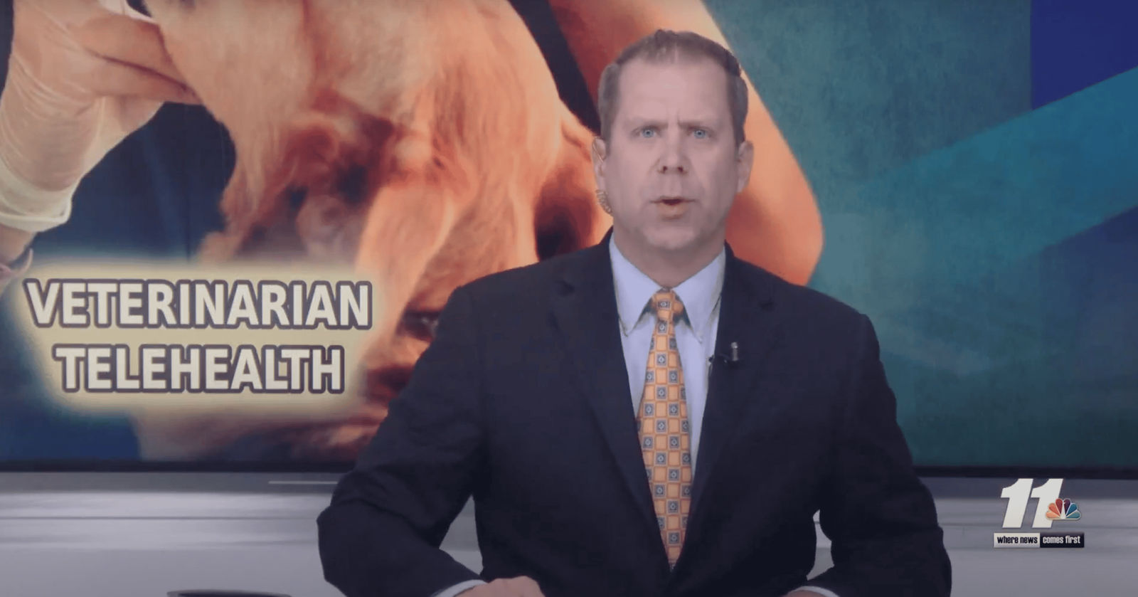 Telemedicine Available Now for Pets in Arizona - Vetster