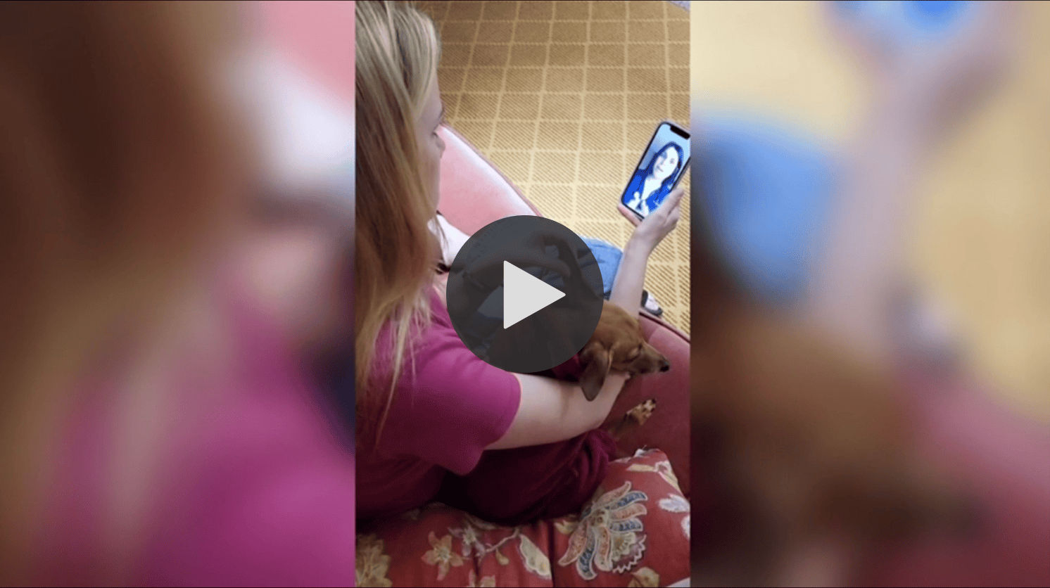 Getting a vet appointment could be easier in 2024 | Here’s a look at telehealth for your pet - Vetster