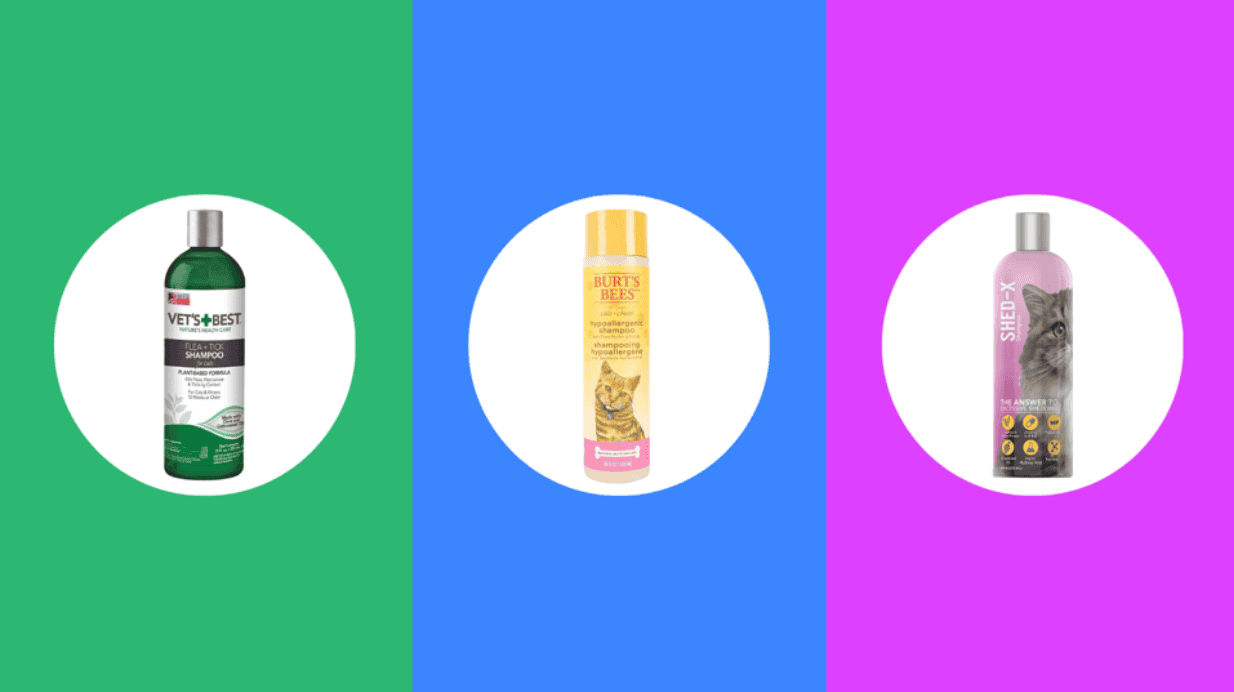 The 7 Best Cat Shampoos That Are Gentle Yet Effective - Vetster