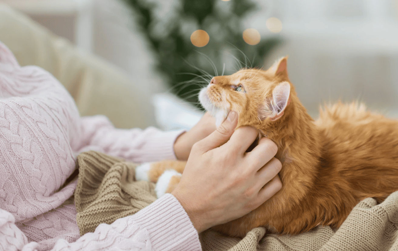 Pet Benefits Keep a Multi-Generational Workforce Happy - Vetster