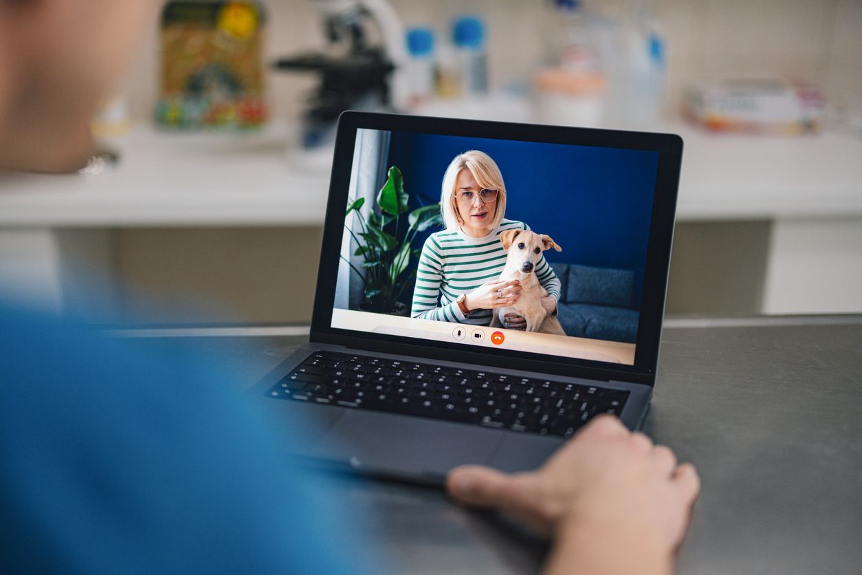 Online vet visits: How virtual veterinary care works - A woman and her dog sit for a telehealth appointment