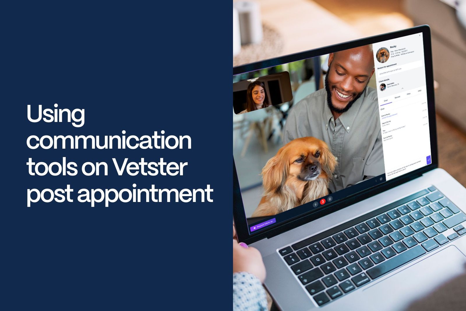 Using communication tools on Vetster post appointment - Vetster