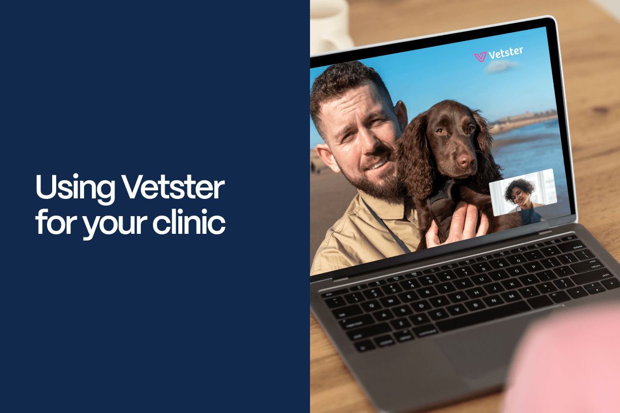 Using Vetster for Your Clinic - Vetster