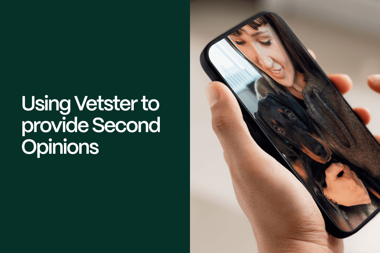 Using Vetster to Provide Second Opinions - Vetster