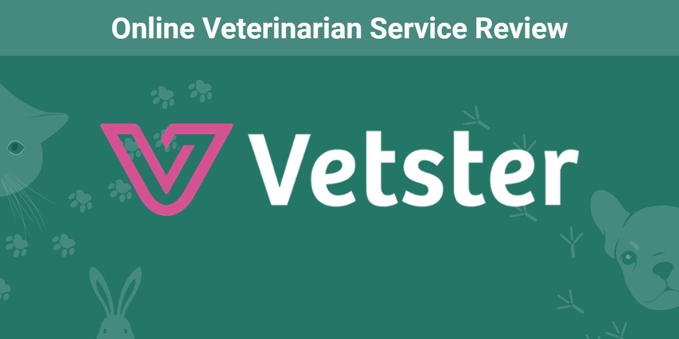Vetster Online Veterinarian Service Review 2023: Our Expert’s Opinion - Vetster