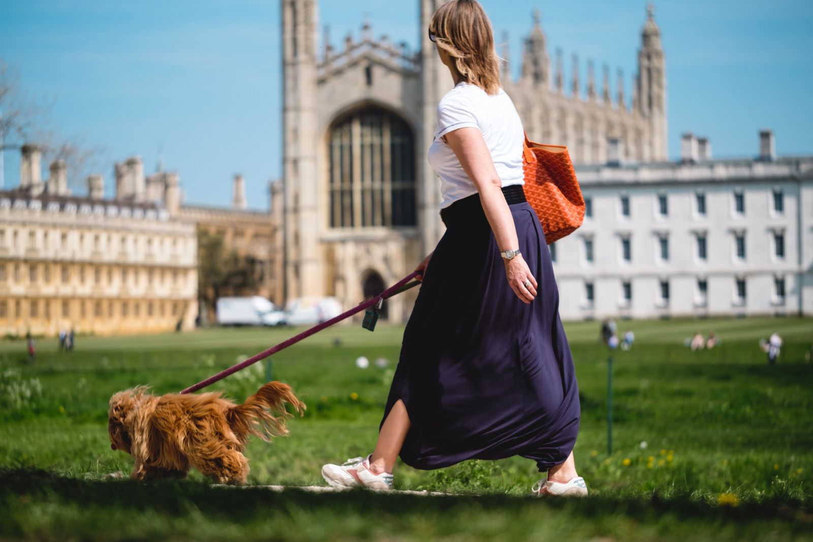 Bringing your pet to college - Dog walking on campus