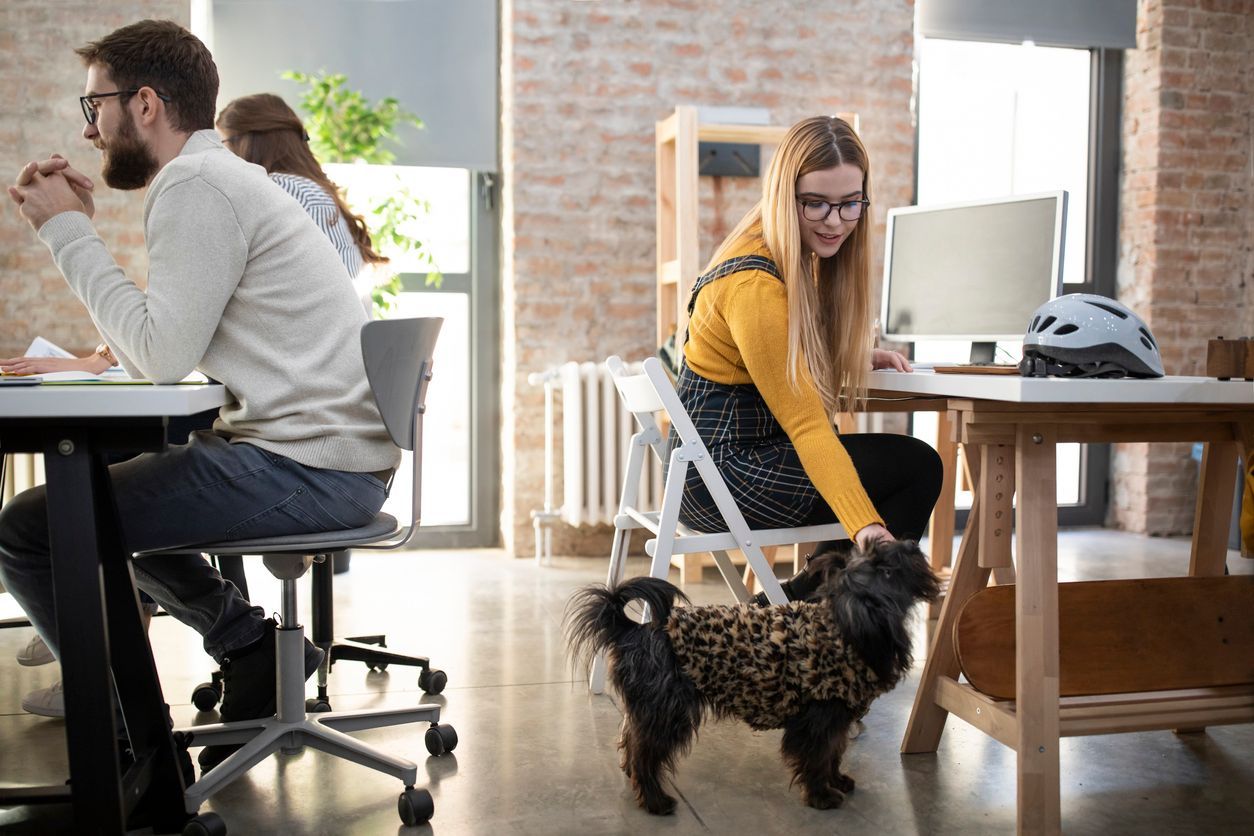 New data on pets in the workplace - A woman at a desk leaning down to pet a small, black dog