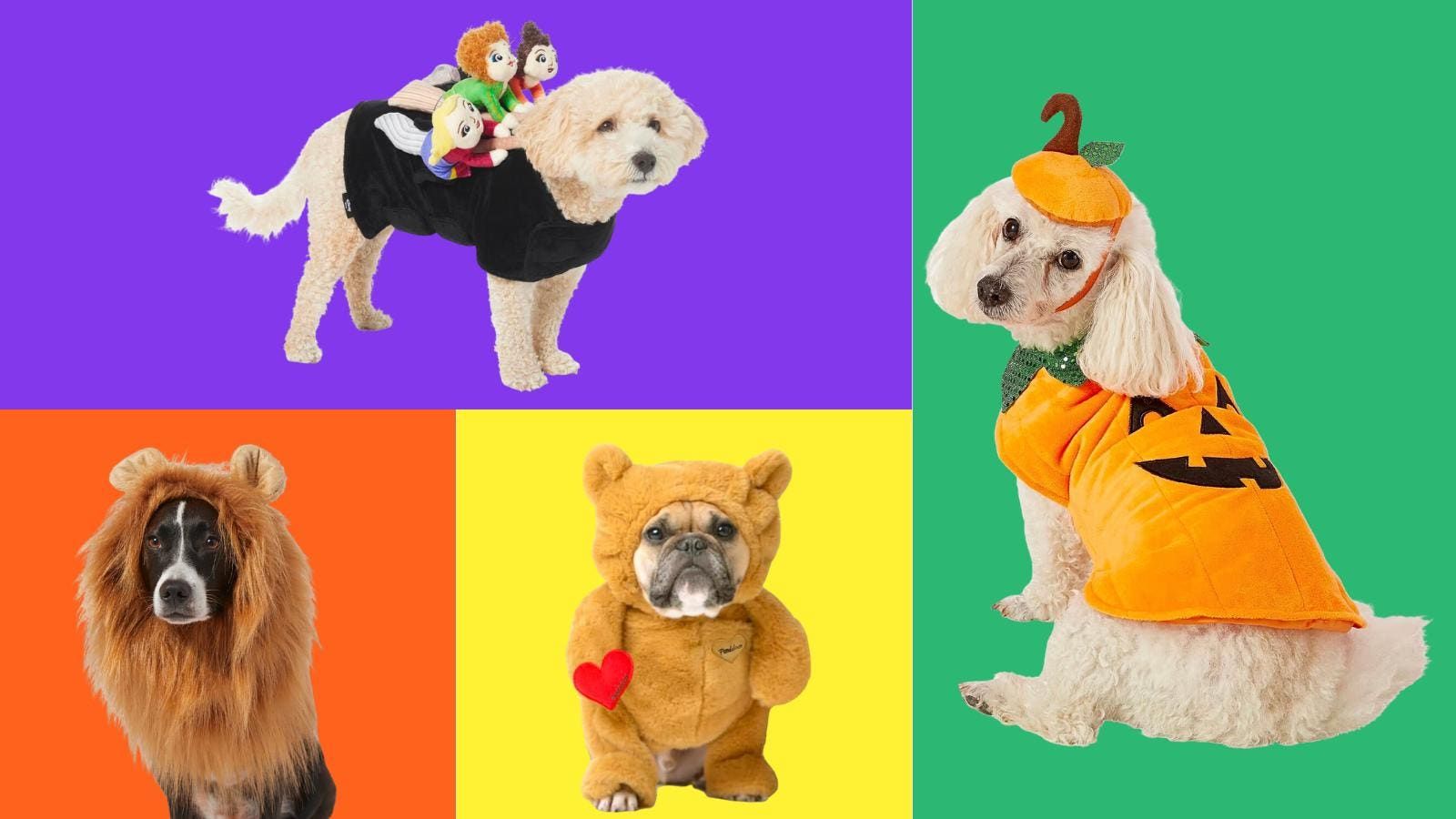 49 Best Dog Costumes To Excite Paw-Rents And Pups This Halloween - Vetster