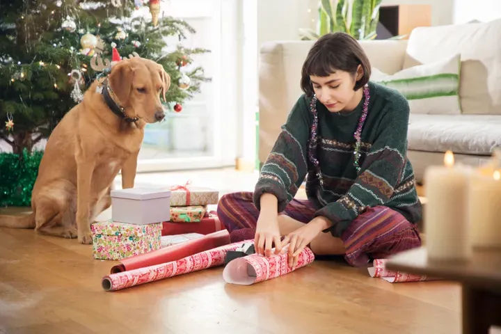Eleven Holiday Items That Are Secretly Dangerous For Pets - Vetster