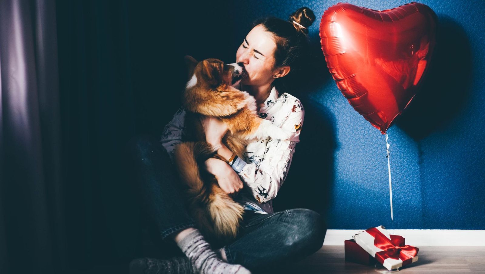 9 ways to show your pet the love - Vetster