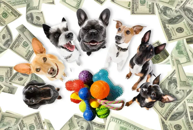 Indestructible Dog Toys That’ll Keep Your Wallet and Pup Happy! - Vetster