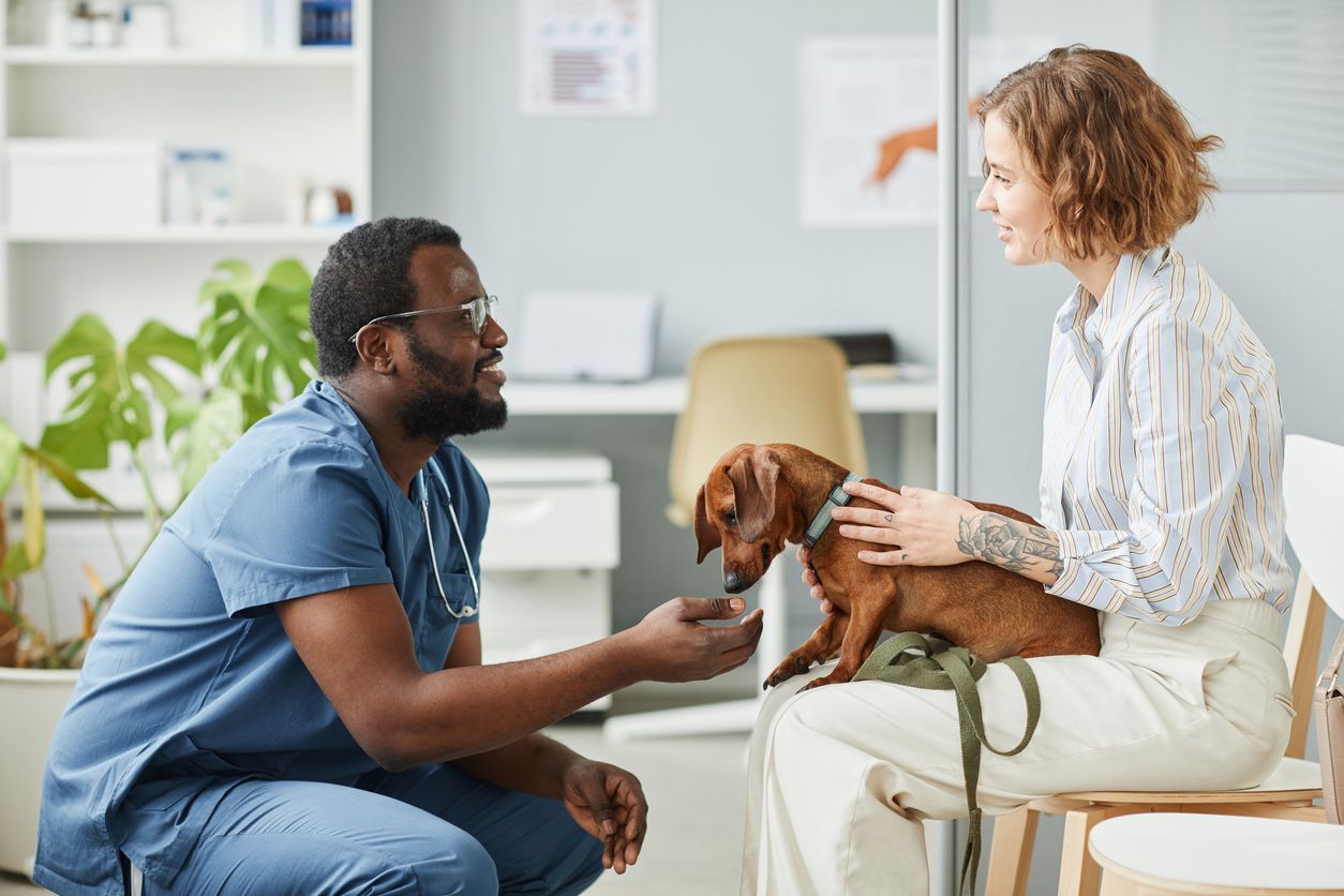 Why is my vet recommending this diagnostic test for my dog? - a dog owner and veterinarian chat while a small dog sits on the owner's lap