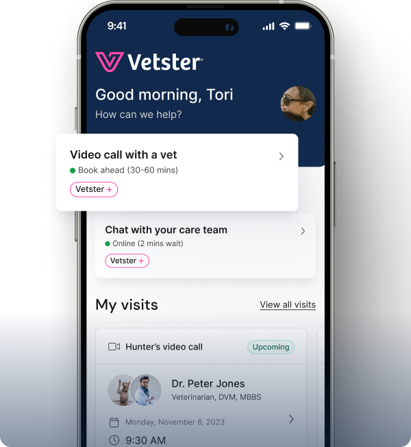 Vetster on iPhone