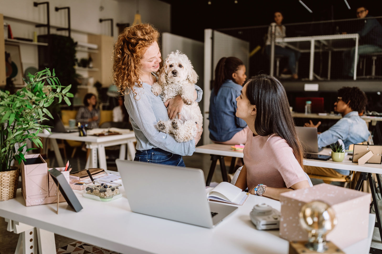 Woman holding a dog in a modern office setting