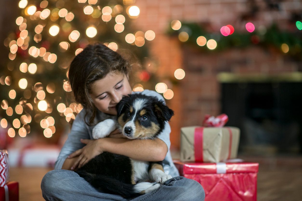 Holiday adoption trends and how to choose your pet - A puppy and child hugging by a Christmas tree
