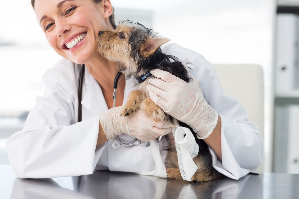 Celebrating Vets on International Day of Veterinary Medicine - Puppy kissing smiling veterinarian