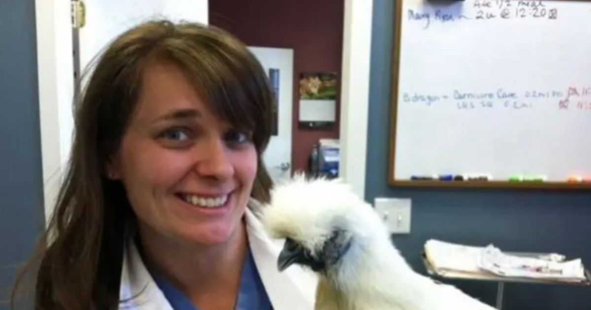 Dr. Alissa Raymond Vet from Brookfield, MA Vetster