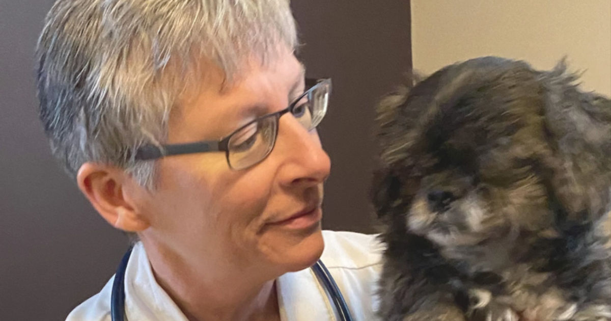 Dr. Meredith Mills Vet from Faribault, MN Vetster