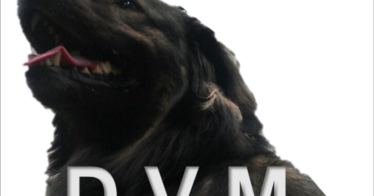 Dr. M. Sacks Vet from Calabasas, CA Vetster