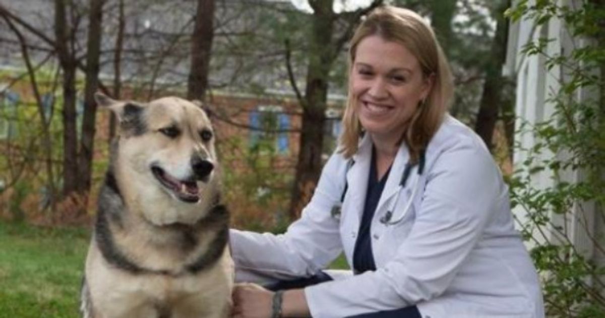 Dr. Colleen Mccarthy Vet from Winchester, VA Vetster