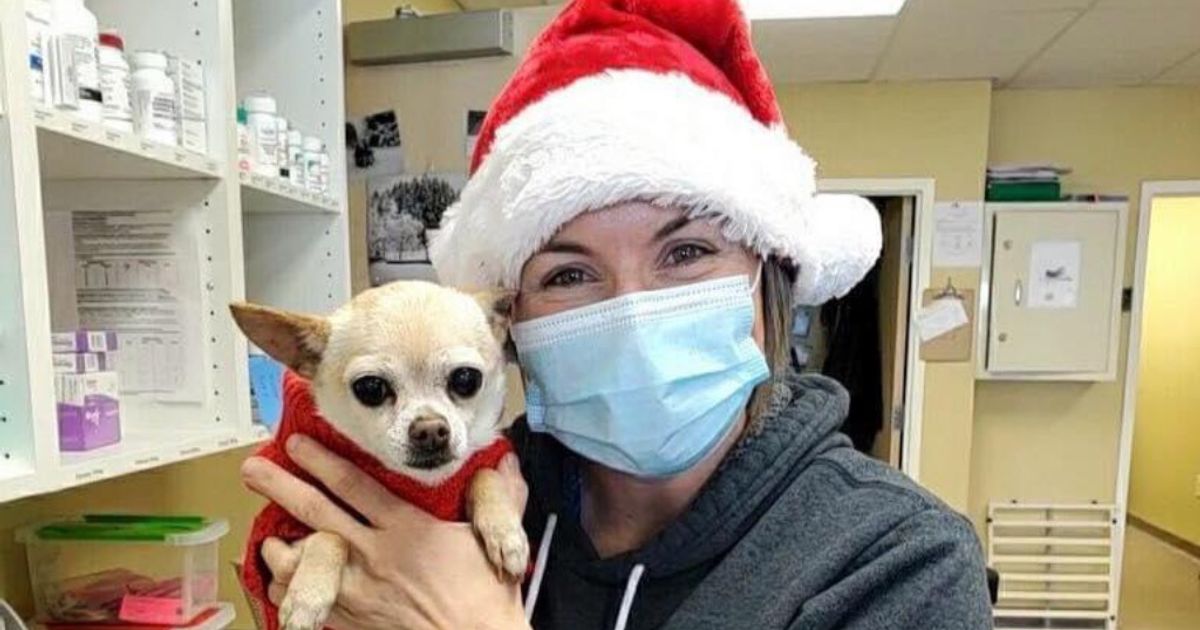 Dr. Jami Rose Vet from Zebulon, NC Vetster