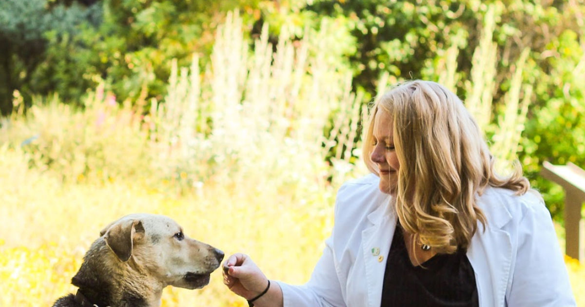 Dr. Sarah Williams, DVM Fairfield, CA Veterinarian Pet Telemedicine