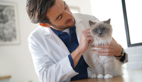 veterinarian jersey city nj