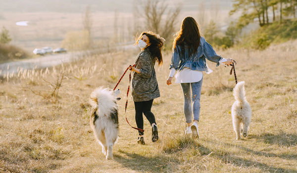 Vetster for Pet Insurers offers a unique, comprehensive product so you can add value to your policies.