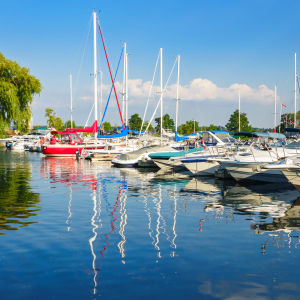 Barrie