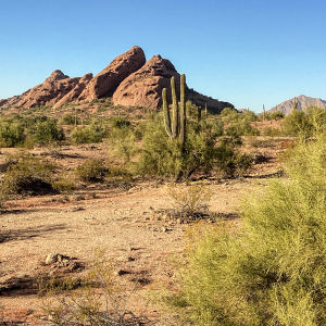 Phoenix