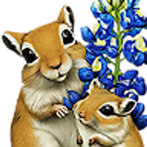 Hill Country Gerbils