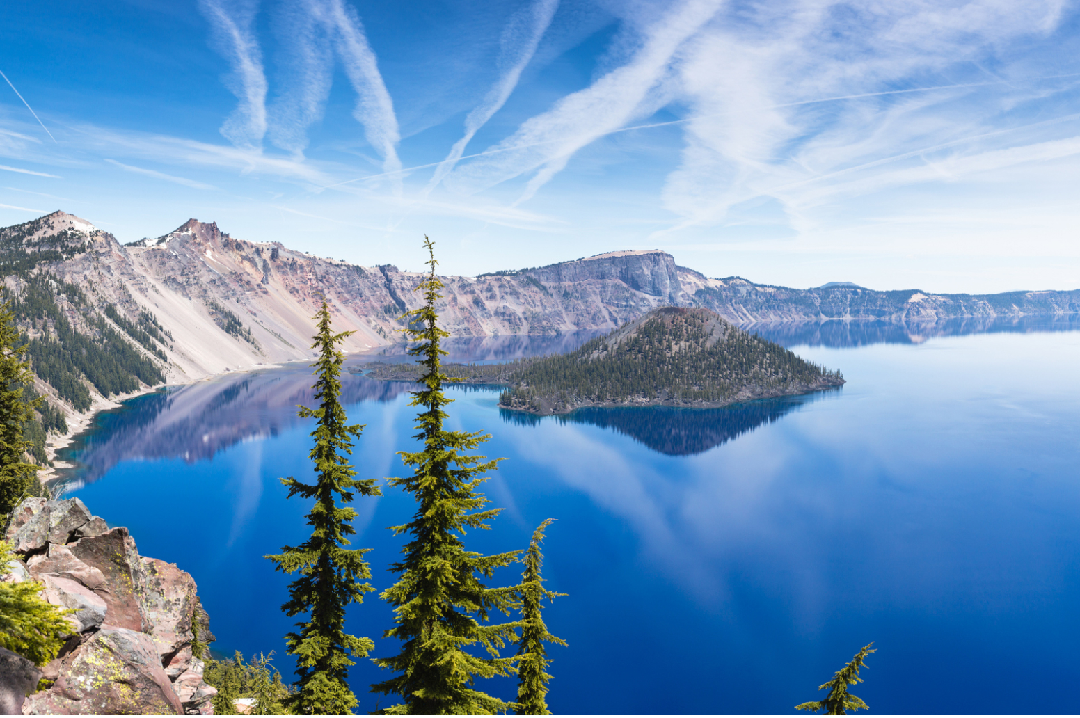 Oregon Online Vet Appointments Dog & Cat Vets Vetster