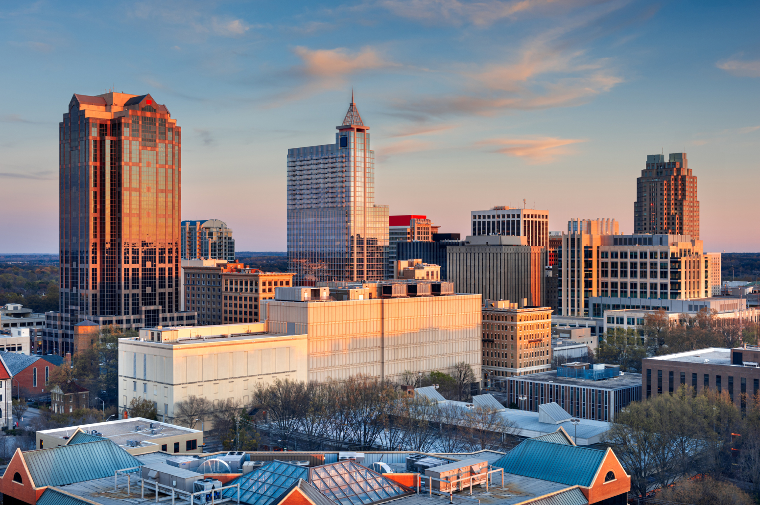 North Carolina Online Vet Appointments - Dog & Cat Vets - Vetster