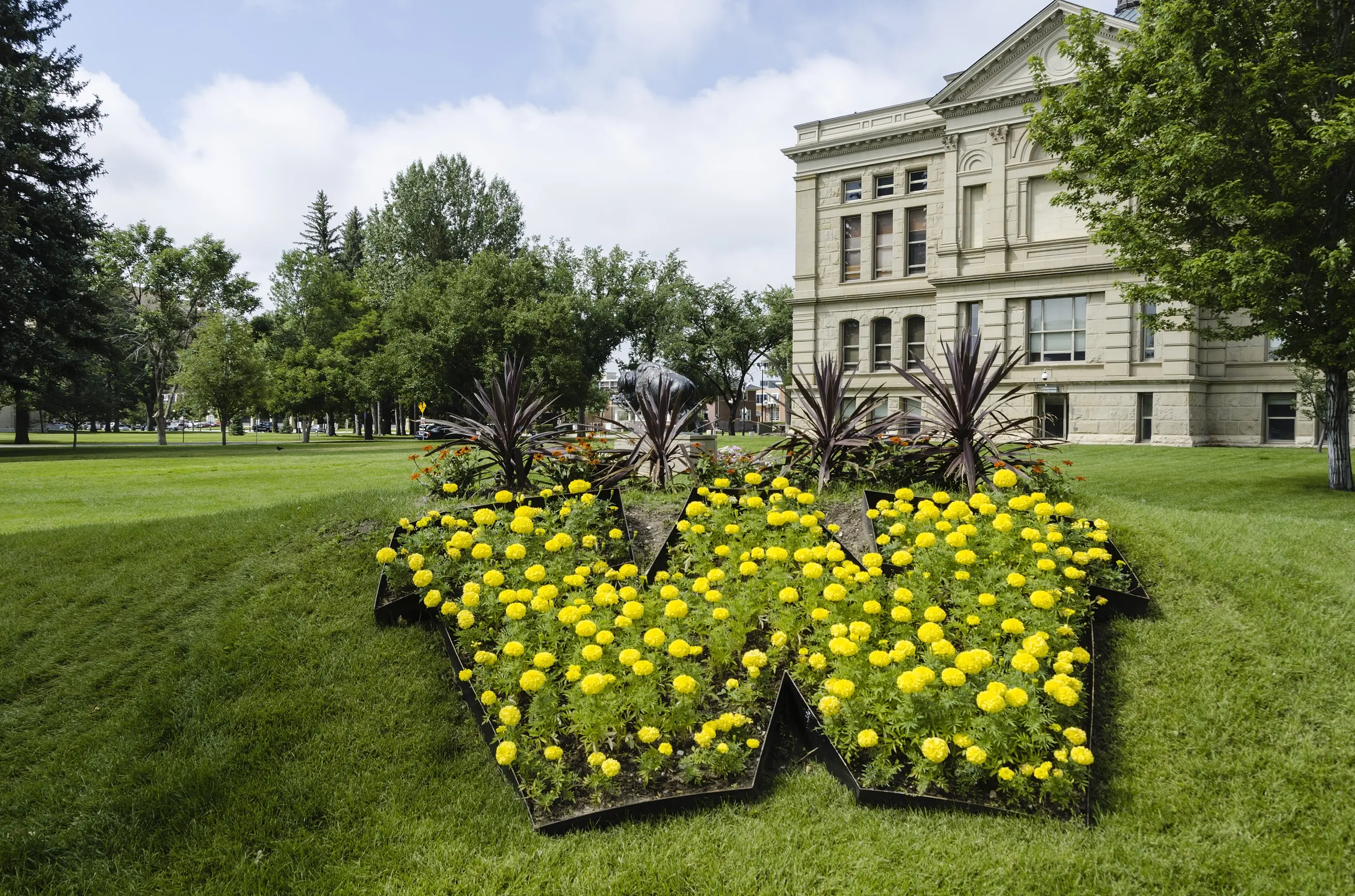 Toprated Vets in Cheyenne, WY Page 5 Vetster