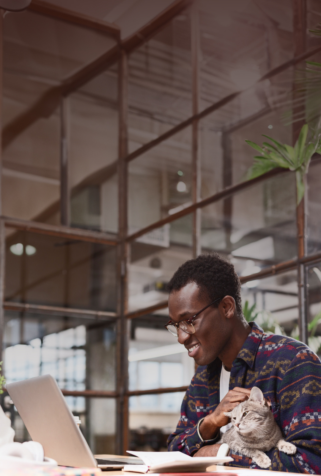 A person working on a laptop in a modern office space with cat in his lap