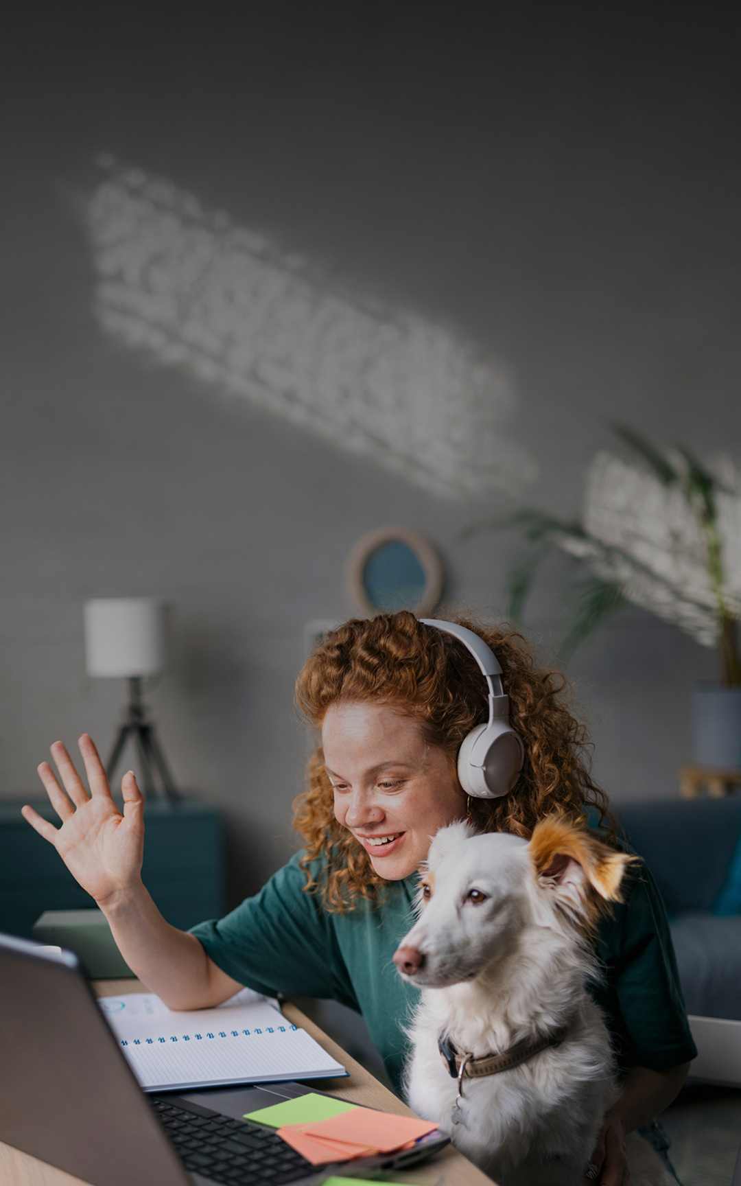 Femme avec chien et écouteurs lors d'un appel vidéo