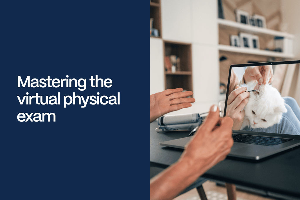Mastering the Virtual Physical Exam Vetster