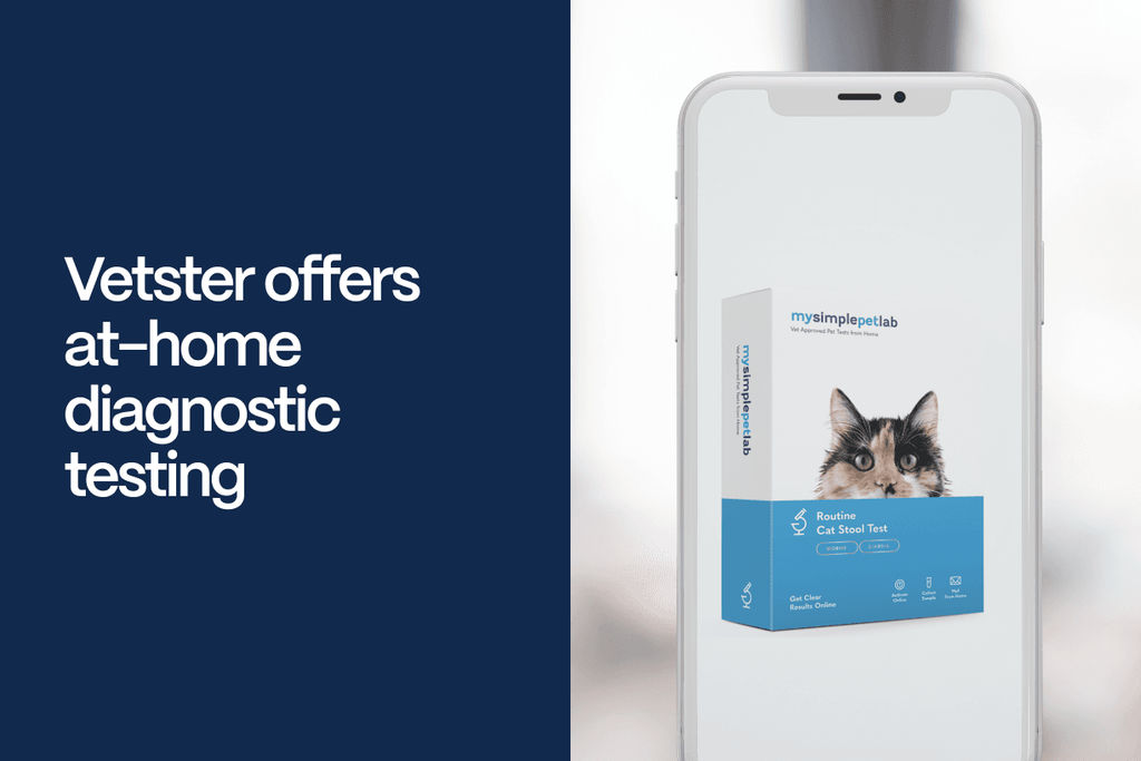 Vetster offers athome diagnostic testing Vetster