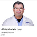 Alejandro Martinez