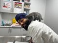 Harmeet Singh Jassal